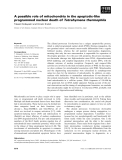 Báo cáo khoa học: A possible role of mitochondria in the apoptotic-like programmed nuclear death of Tetrahymena thermophila Takashi Kobayashi and Hiroshi Endoh