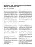 Báo cáo khoa học:  Perturbation of folding and reassociation of lactate dehydrogenase by proline and trimethylamine oxide