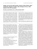 Báo cáo khoa học:  Salicylic acid and the hypersensitive response initiate distinct signal transduction pathways in tobacco that converge on the as-1-like element of the PR-1a promoter