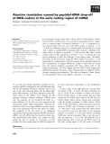 Báo cáo khoa học: Abortive translation caused by peptidyl-tRNA drop-off at NGG codons in the early coding region of mRNA