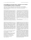 Báo cáo khoa học: The diacylglycerol and protein kinase C pathways are not involved in insulin signalling in primary rat hepatocytes