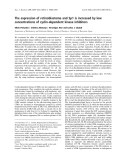 Báo cáo khoa học: The expression of retinoblastoma and Sp1 is increased by low concentrations of cyclin-dependent kinase inhibitors