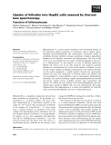 Báo cáo khoa học: Uptake of bilirubin into HepG2 cells assayed by thermal lens spectroscopy Function of bilitranslocase