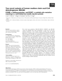 Báo cáo khoa học: Two novel variants of human medium chain acyl-CoA dehydrogenase (MCAD) K364R, a folding mutation, and R256T, a catalytic-site mutation resulting in a well-folded but totally inactive protein