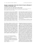 Báo cáo khoa học: Dynamic reorganization of the motor domain of myosin subfragment 1 in different nucleotide states