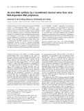 Báo cáo khoa học:  De novo RNA synthesis by a recombinant classical swine fever virus RNA-dependent RNA polymerase