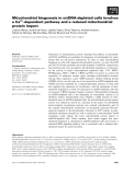 Báo cáo khoa học: Mitochondrial biogenesis in mtDNA-depleted cells involves a Ca2+-dependent pathway and a reduced mitochondrial protein import