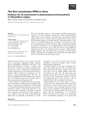 Báo cáo khoa học: The ﬁrst cytochrome P450 in ferns Evidence for its involvement in phytoecdysteroid biosynthesis in Polypodium vulgare