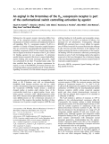 Báo cáo khoa học:  An arginyl in the N-terminus of the V1a vasopressin receptor is part of the conformational switch controlling activation by agonist