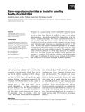 Báo cáo khoa học: Stem–loop oligonucleotides as tools for labelling double-stranded DNA