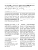 Báo cáo khoa học:  The propeptide in the precursor form of carboxypeptidase Y ensures cooperative unfolding and the carbohydrate moiety exerts a protective effect against heat and pressure