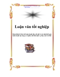  Luận văn đề tài :  Hoàn thiện tổ chức kế toán doanh thu, chi phí và xác định kết quả kinh doanh tại công ty cổ phần chế biến dịch vụ thuỷ sản Cát Hải