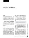 Mobile Websites