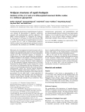 Báo cáo khoa học: N-Glycan structures of squid rhodopsin Existence of the a1–3 and a1–6 difucosylated innermost GlcNAc residue in a molluscan glycoprotein