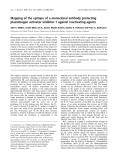 Báo cáo khoa học: Mapping of the epitope of a monoclonal antibody protecting plasminogen activator inhibitor-1 against inactivating agents