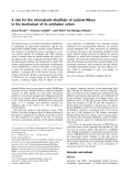 Báo cáo khoa học:  A role for the intersubunit disulﬁdes of seminal RNase in the mechanism of its antitumor action