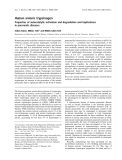 Báo cáo khoa học: Human anionic trypsinogen Properties of autocatalytic activation and degradation and implications in pancreatic diseases