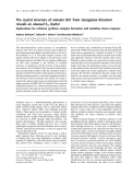 Báo cáo khoa học:  The crystal structure of annexin Gh1 from Gossypium hirsutum reveals an unusual S3 cluster Implications for cellulose synthase complex formation and oxidative stress response