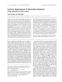 Báo cáo khoa học: Isocitrate dehydrogenase of Plasmodium falciparum Energy metabolism or redox control?