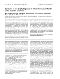 Báo cáo khoa học: Expression of two [Fe]-hydrogenases in Chlamydomonas reinhardtii under anaerobic conditions