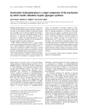 Báo cáo khoa học:  Inactivation of phosphorylase is a major component of the mechanism by which insulin stimulates hepatic glycogen synthesis