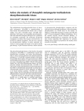 Báo cáo khoa học:  Active site mutants of Drosophila melanogaster multisubstrate deoxyribonucleoside kinase