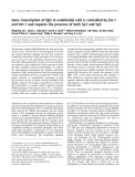 Báo cáo khoa học: Gene transcription of fgl2 in endothelial cells is controlled by Ets-1 and Oct-1 and requires the presence of both Sp1 and Sp3