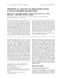 Báo cáo khoa học: Identiﬁcation of a novel inner-core oligosaccharide structure in Neisseria meningitidis lipopolysaccharide