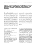 Báo cáo khoa học: Sequences and structural organization of phospholipase A2 genes from Vipera aspis aspis, V. aspis zinnikeri and Vipera berus berus venom Identiﬁcation of the origin of a new viper population based on ammodytin I1 heterogeneity