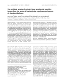 Báo cáo khoa học:  The antibiotic activity of cationic linear amphipathic peptides: lessons from the action of leucine/lysine copolymers on bacteria of the class Mollicutes