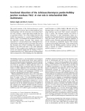 Báo cáo khoa học:  Functional dissection of the Schizosaccharomyces pombe Holliday junction resolvase Ydc2: in vivo role in mitochondrial DNA maintenance