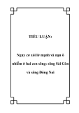 TIỂU LUẬN:  Nguy cơ xói lở mạnh và nạn ô nhiễm ở hai con sông: sông Sài Gòn và sông Đông Nai