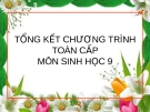 TỔNG KẾT CHƯƠNG TRÌNH TOÀN CẤPMÔN SINH HỌC 9