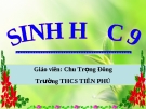 Tiết 24:ĐỘT BIẾN SỐ LƯỢNG  NHIỄM SẮC THỂ