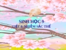 TIẾT 8: NHIỄM SẮC THỂ