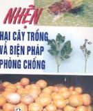 Nhện hại cây trồng và biện pháp phòng chống