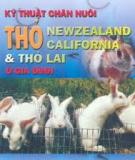 Kỹ thuật chăn nuôi thỏ Newzeland California và thỏ lai ở gia đình