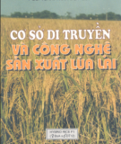 Lúa lai - Cơ sở di truyền và công nghệ sản xuất