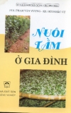 Nuôi tằm ở gia đình