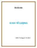 Bài tiểu luận Kinh tế lượng