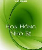 Hoa Hồng Nhỏ Bé