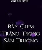 Bầy Chim Trắng Trong Sân Trường