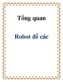 Tồng quan robot đề các