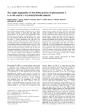 Báo cáo khoa học: The single tryptophan of the PsbQ protein of photosystem II is at the end of a 4-a-helical bundle domain