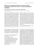 Báo cáo khoa học: Studies on the regulatory properties of the pterin cofactor and dopamine bound at the active site of human phenylalanine hydroxylase