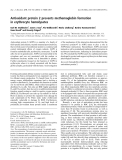Báo cáo khoa học: Antioxidant protein 2 prevents methemoglobin formation in erythrocyte hemolysates