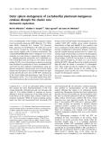Báo cáo khoa học: Outer sphere mutagenesis of Lactobacillus plantarum manganese catalase disrupts the cluster core