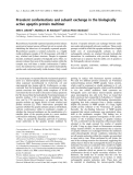 Báo cáo khoa học: Prevalent conformations and subunit exchange in the biologically active apoptin protein multimer