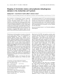 Báo cáo khoa học: Mapping of chorismate mutase and prephenate dehydrogenase domains in the Escherichia coli T-protein