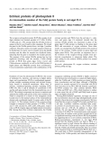 Báo cáo khoa học:  Extrinsic proteins of photosystem II An intermediate member of the PsbQ protein family in red algal PS II